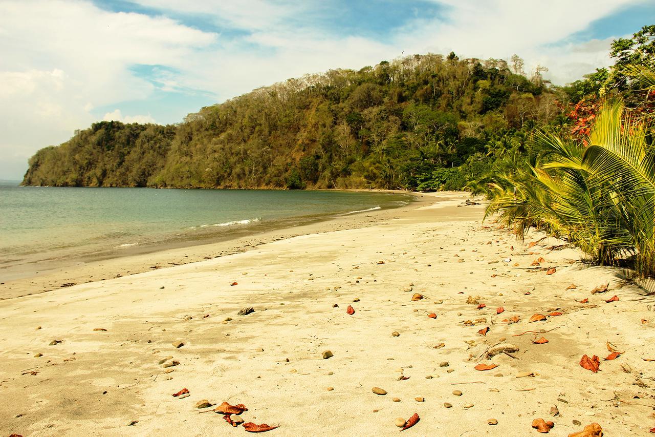 Hotel Arenas En Punta Leona Playa Agujas Ngoại thất bức ảnh